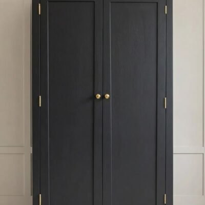 modern-2-door-storage-cabinet