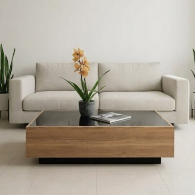 modern-wooden-centre-table-with-tempered-glass-top-and-recessed-base